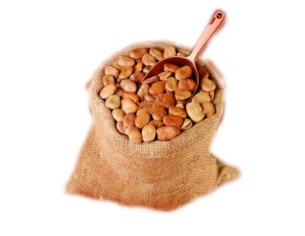 Habas Secas a Granel 2