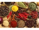 Condimentos y Salsas